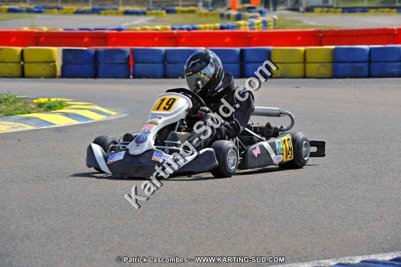 DSC_ (1352).jpg